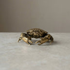 Elegant Brass Crab Figurine for Nautical and Coastal Home Décor - Euroselle