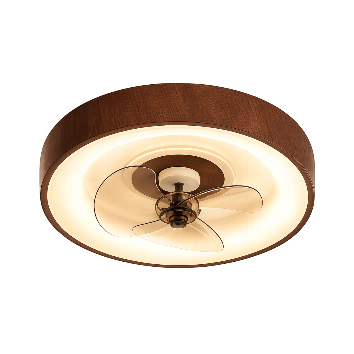 Modern Minimalist LED Ceiling Fan and Light