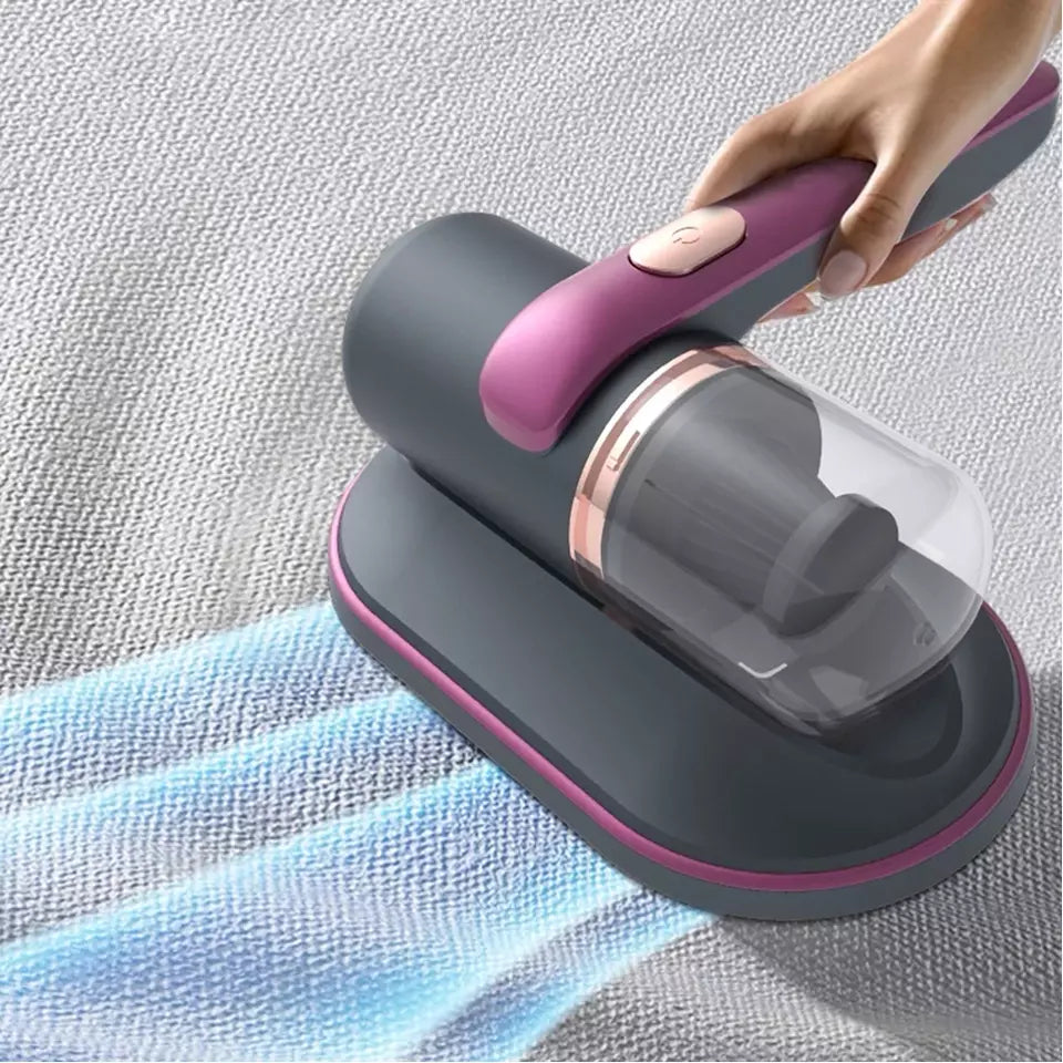 Cordless Dust Vacuum & Iron for a Healthier Home - Euroselle
