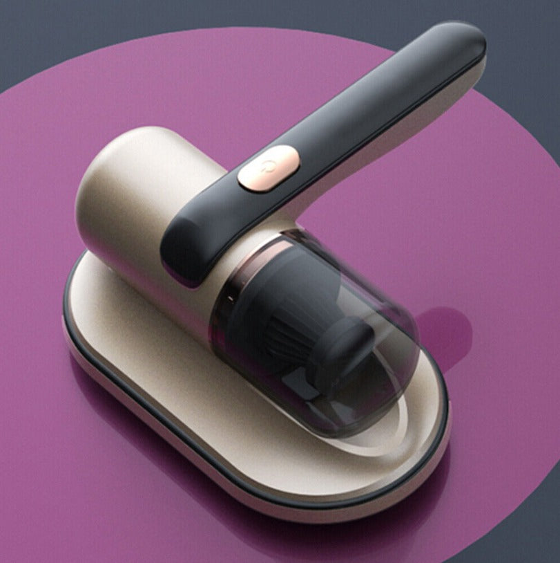 Cordless Dust Vacuum & Iron for a Healthier Home - Euroselle