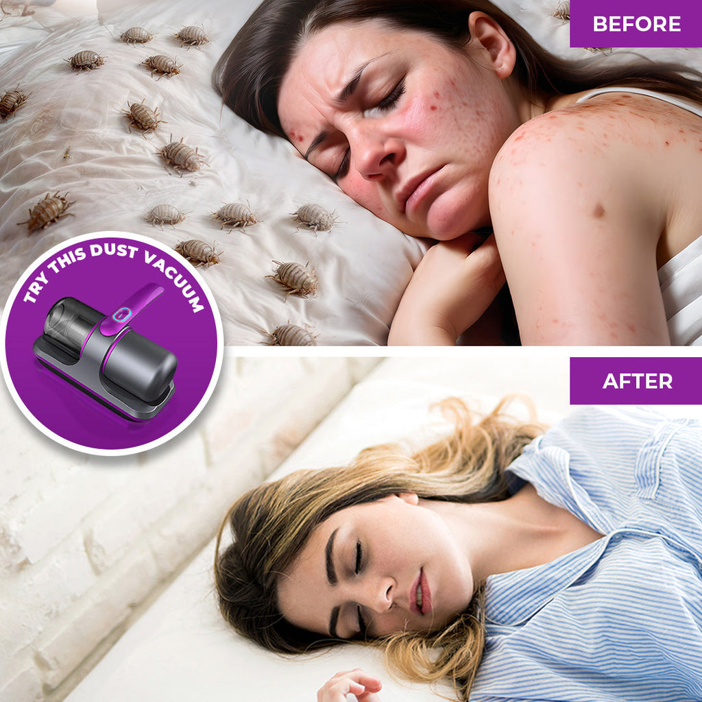 Cordless Dust Vacuum & Iron for a Healthier Home - Euroselle
