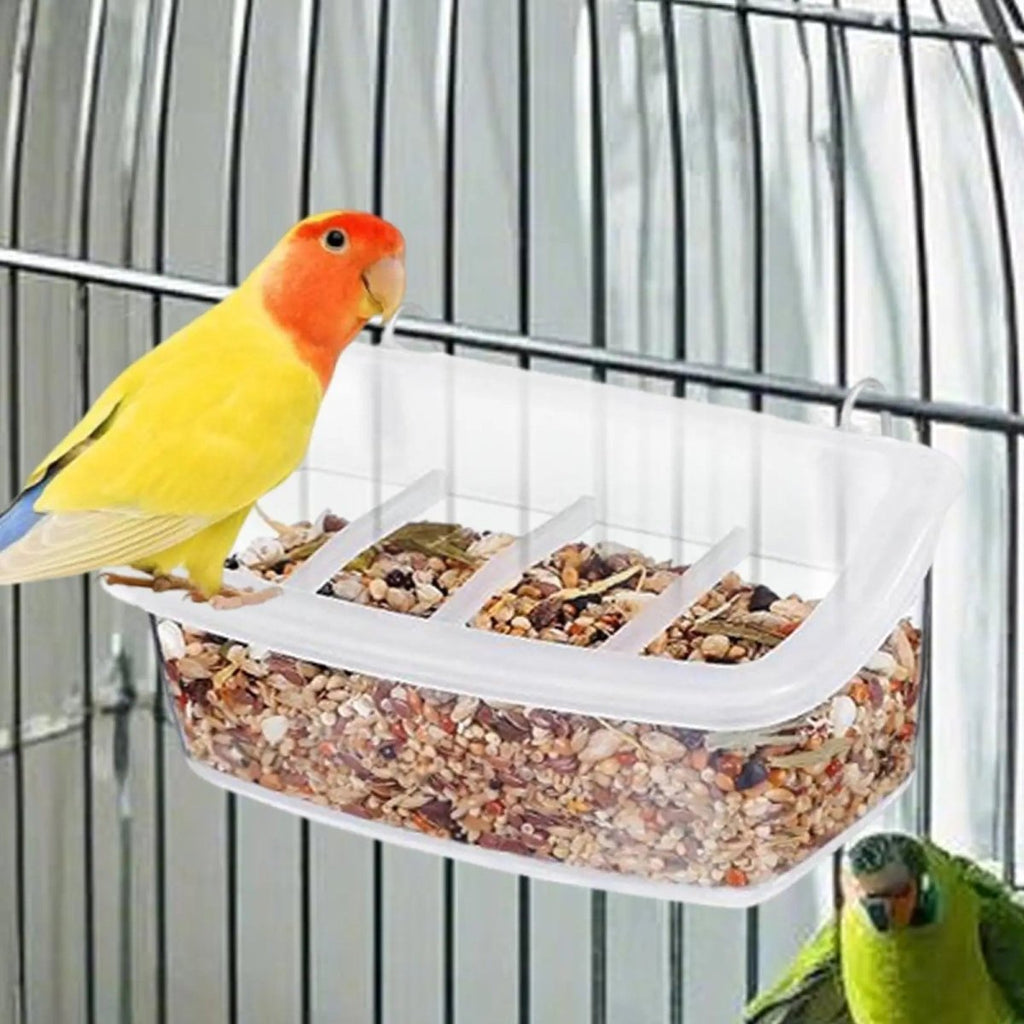 Clear Wing 360-Degree Transparent Parrot Feeder — Hygienic, Eco-Friendly Design