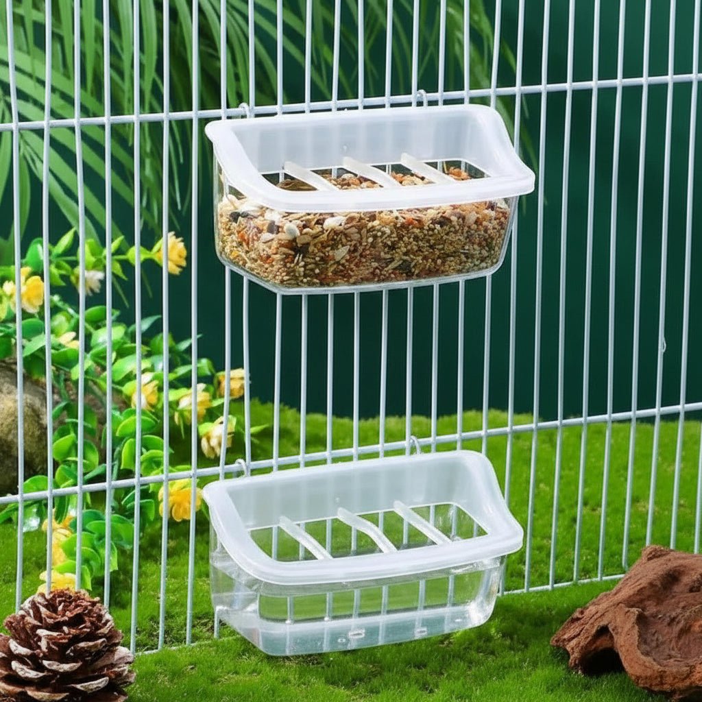 Clear Wing 360-Degree Transparent Parrot Feeder — Hygienic, Eco-Friendly Design