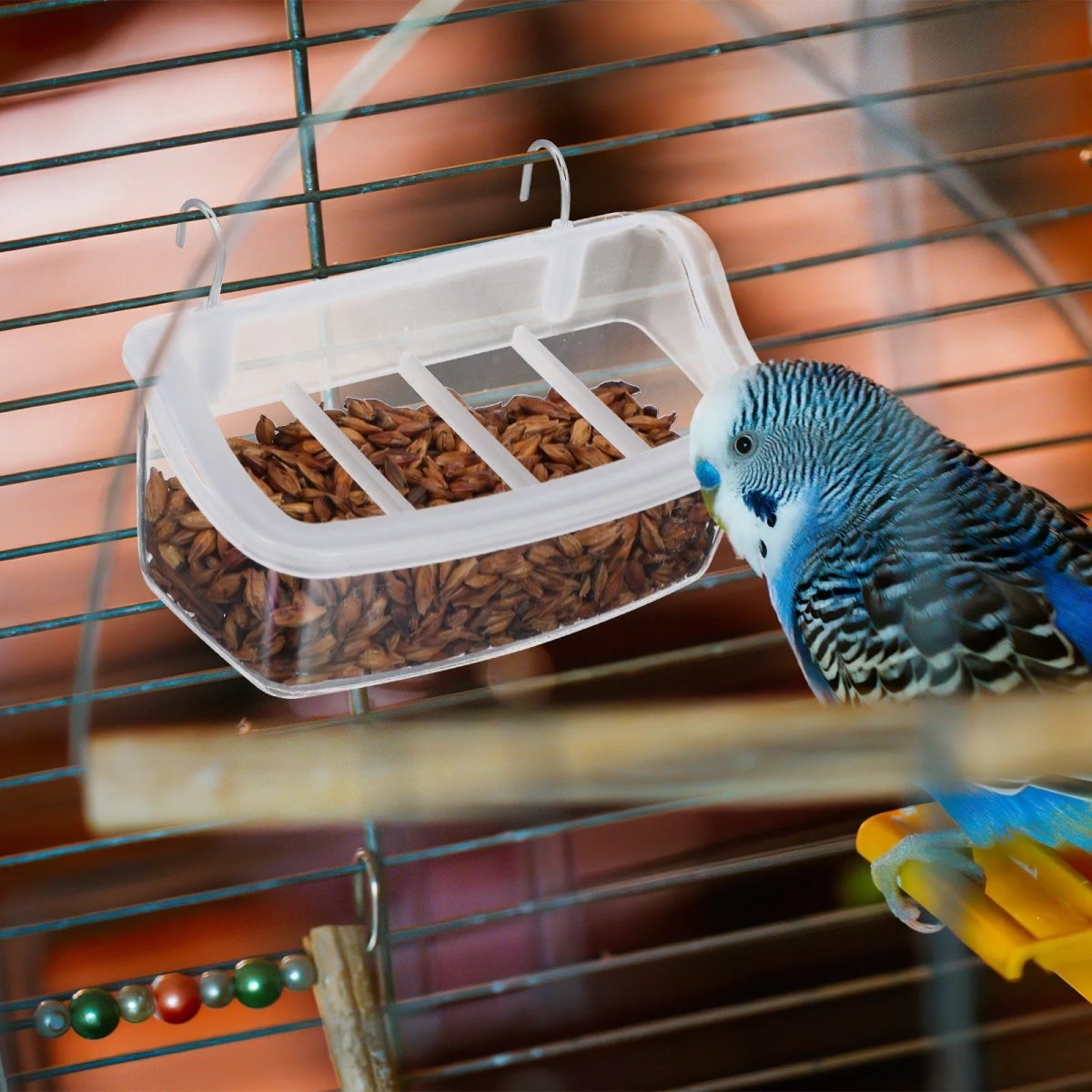 Clear Wing 360-Degree Transparent Parrot Feeder — Hygienic, Eco-Friendly Design