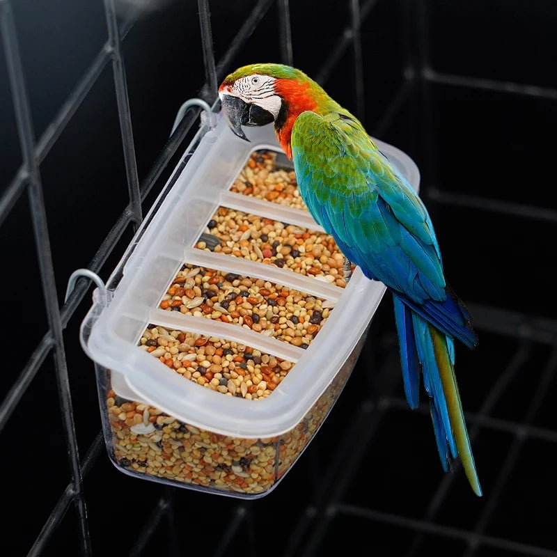 Clear Wing 360-Degree Transparent Parrot Feeder — Hygienic, Eco-Friendly Design