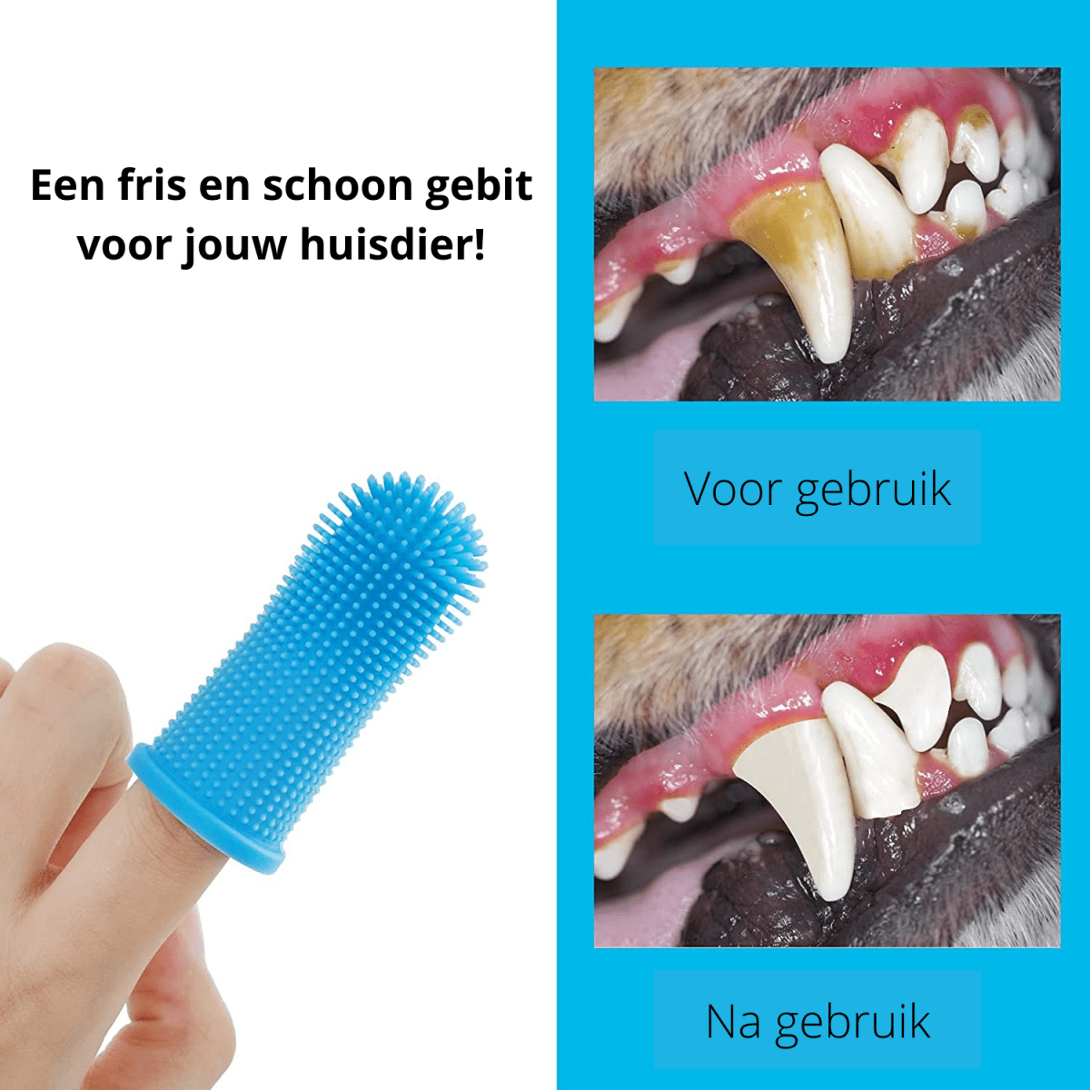 Escova de dentes de silicone para dedo NovaPaw 360 — Bainha ajustável para cães
