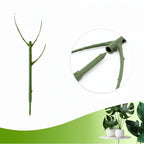 Stackable Plant Support Rings Set of 3 for Indoor & Outdoor Gardening - Euroselle