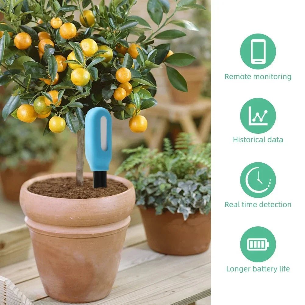 Testeur de sol intelligent BrightGrow en temps réel — Humidité, température et nutriments