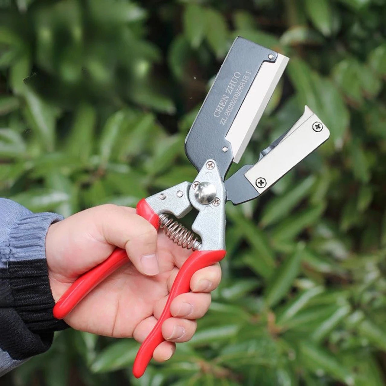 Expert Grafting Scissors for Perfect Tree Maintenance & Seamless Cuts - Euroselle