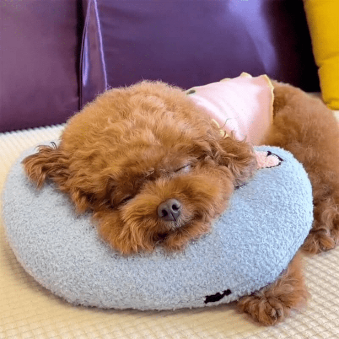 Almofada ortopédica de luxo para cães CalmNest — design de suporte contornado