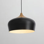 Nordic Minimalist Dome Pendant Light