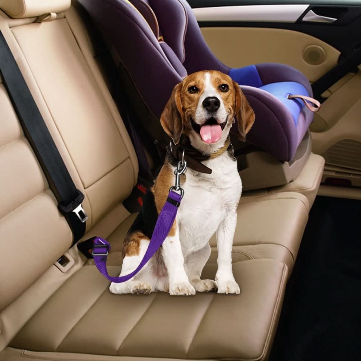 PawGuard verstelbare autogordel voor honden — standaard voertuigclip
