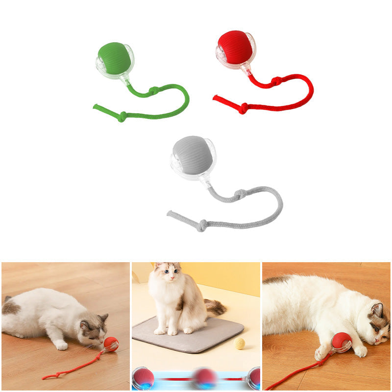 Balle Jouet Interactif pour Chat avec Plusieurs Modes et Design Durable en Silicone - Euroselle
