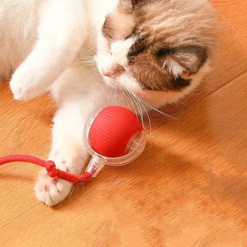 Balle Jouet Interactif pour Chat avec Plusieurs Modes et Design Durable en Silicone - Euroselle