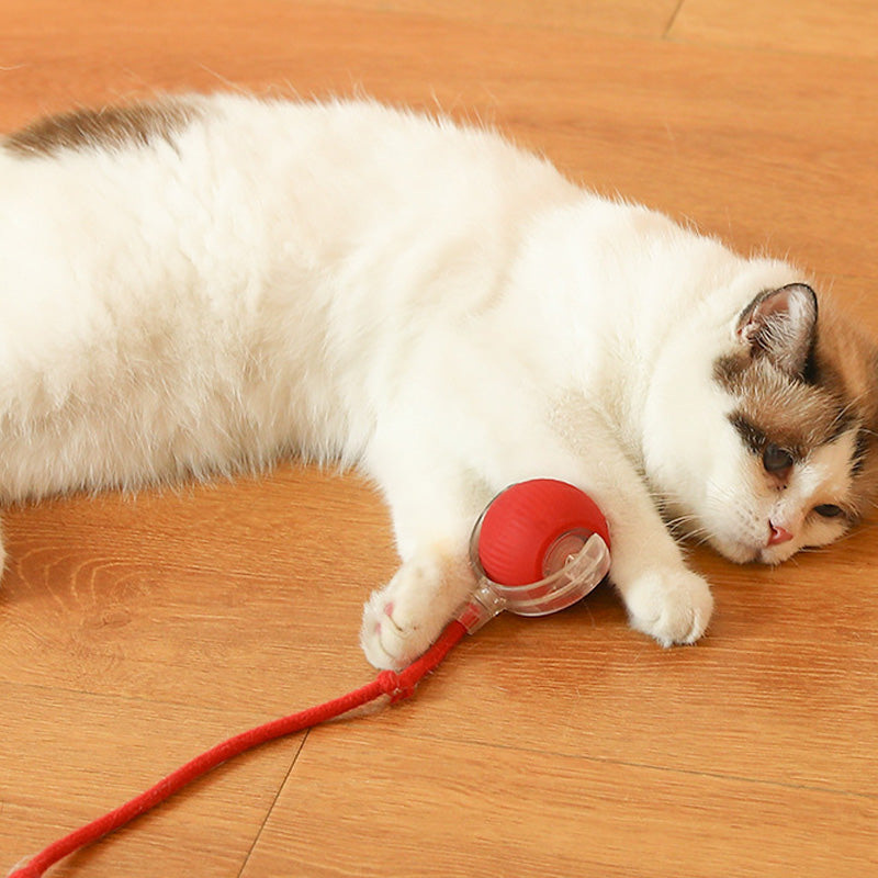 Balle Jouet Interactif pour Chat avec Plusieurs Modes et Design Durable en Silicone - Euroselle