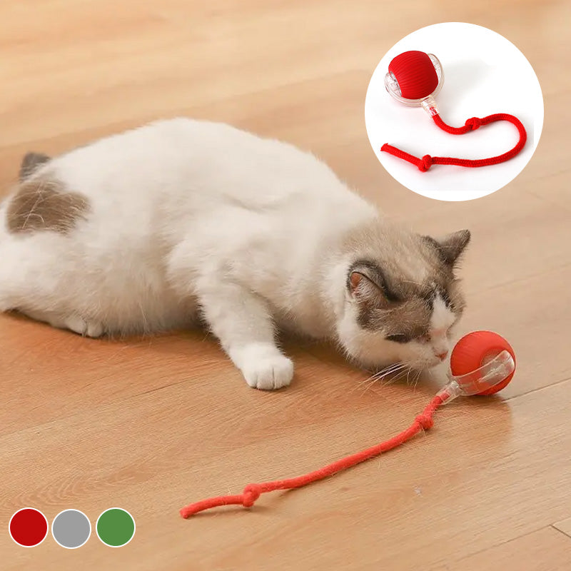 Balle Jouet Interactif pour Chat avec Plusieurs Modes et Design Durable en Silicone - Euroselle