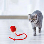 Balle Jouet Interactif pour Chat avec Plusieurs Modes et Design Durable en Silicone - Euroselle