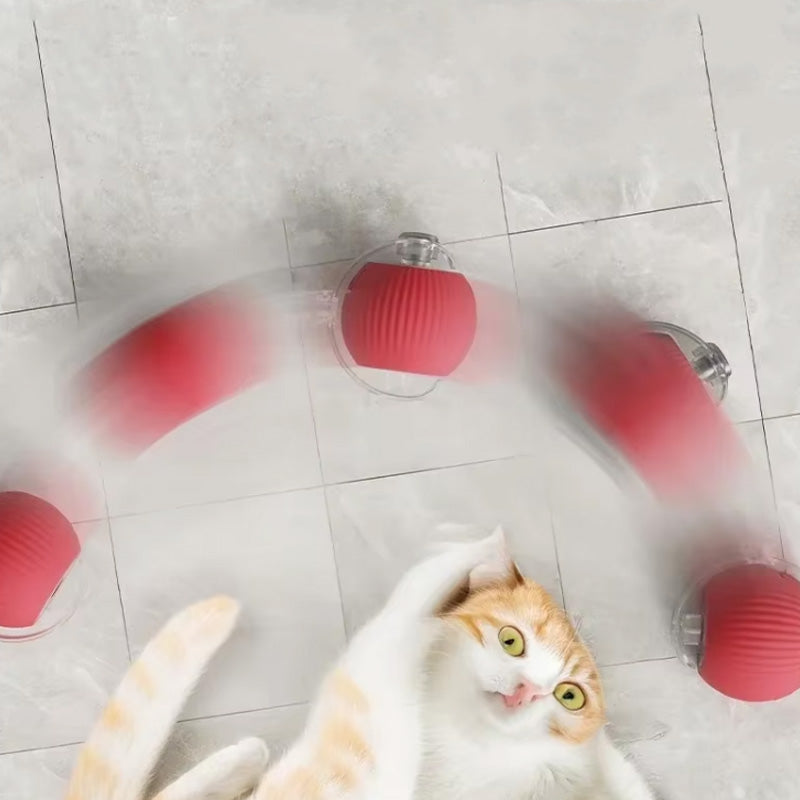 Balle Jouet Interactif pour Chat avec Plusieurs Modes et Design Durable en Silicone - Euroselle