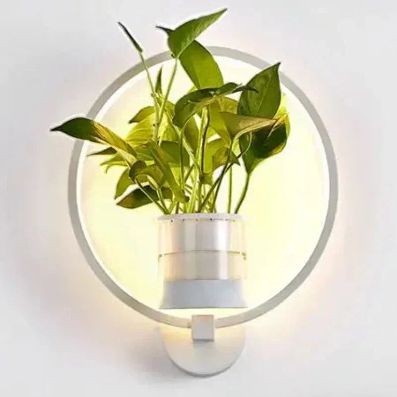 LumaSconce Wall Lamp Planter For Modern Living Rooms And Hallways