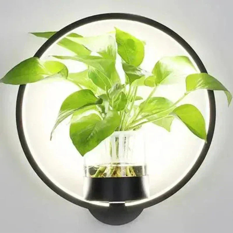 LumaSconce Wall Lamp Planter For Modern Living Rooms And Hallways