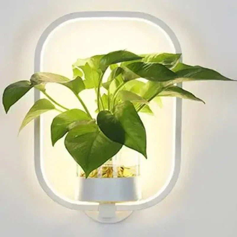 LumaSconce Wall Lamp Planter For Modern Living Rooms And Hallways