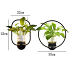 LumaSconce Wall Lamp Planter For Modern Living Rooms And Hallways
