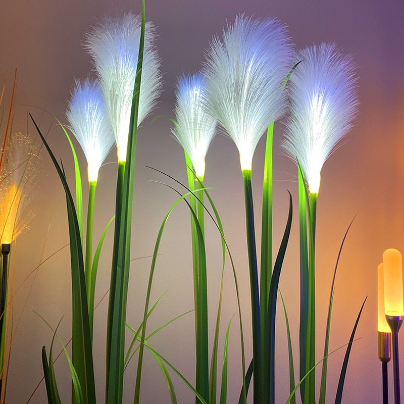 Weatherproof Solar Lights for Outdoor Decoration - Euroselle