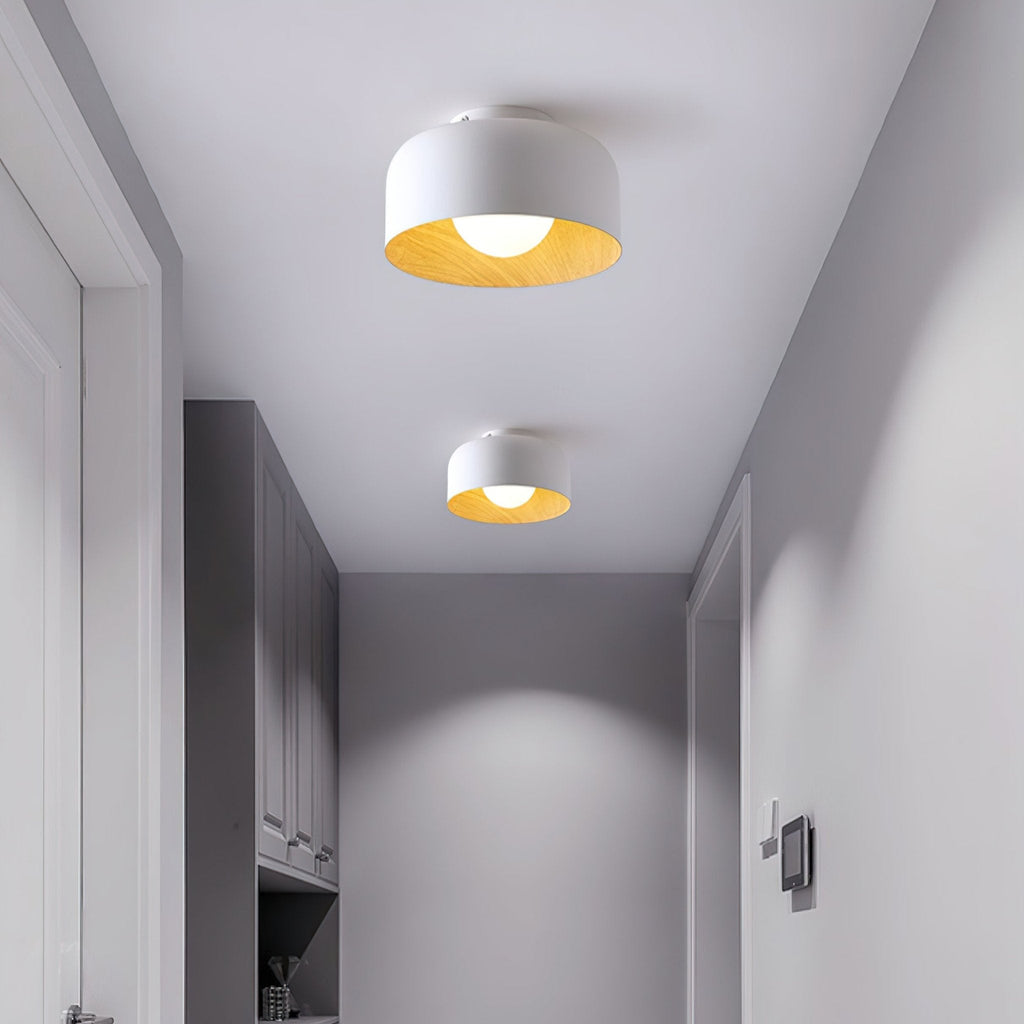 Nimbus Wood-Grain Globe Flush Mount Ceiling Light