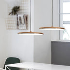Astra Dining Pendant Light Modern LED Sleek Ceiling Lamp