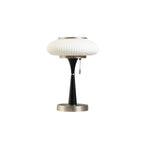MycoLume Mushroom-Inspired Table Lamp With Natural Glow