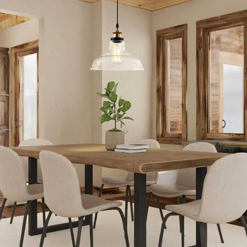 Industrial Style Pendant Light With Single Glass Dome