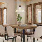 Industrial Style Pendant Light With Single Glass Dome