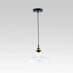 Industrial Style Pendant Light With Single Glass Dome