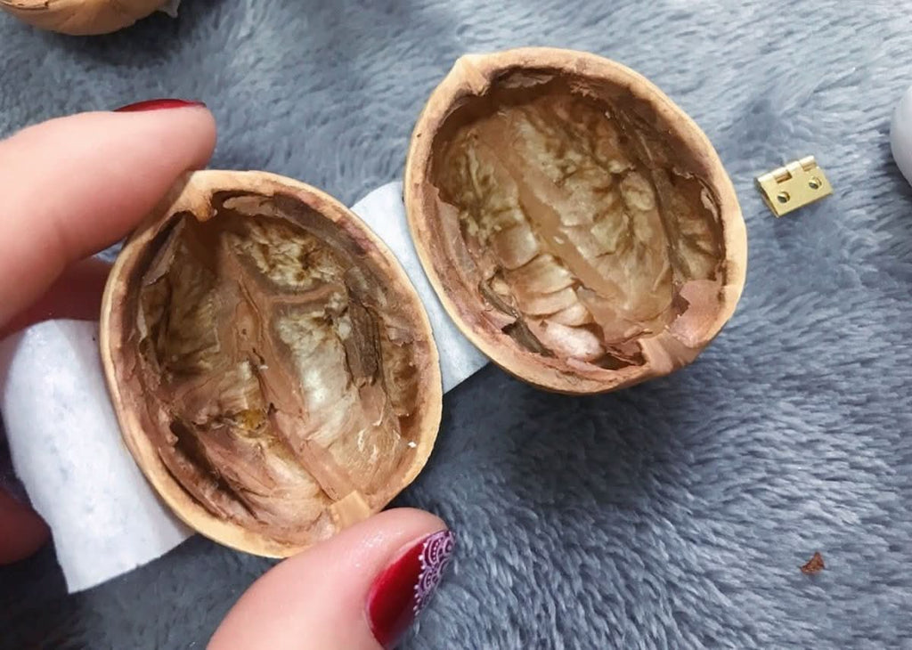 Whispering Walnut Shells dockhus — handgjort valnötsträskal, integrerad innerbelysning