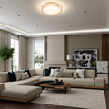 Simple Modern LED Ceiling Lamp For Living Rooms And More
