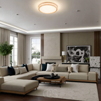 Simple Modern LED Ceiling Lamp For Living Rooms And More