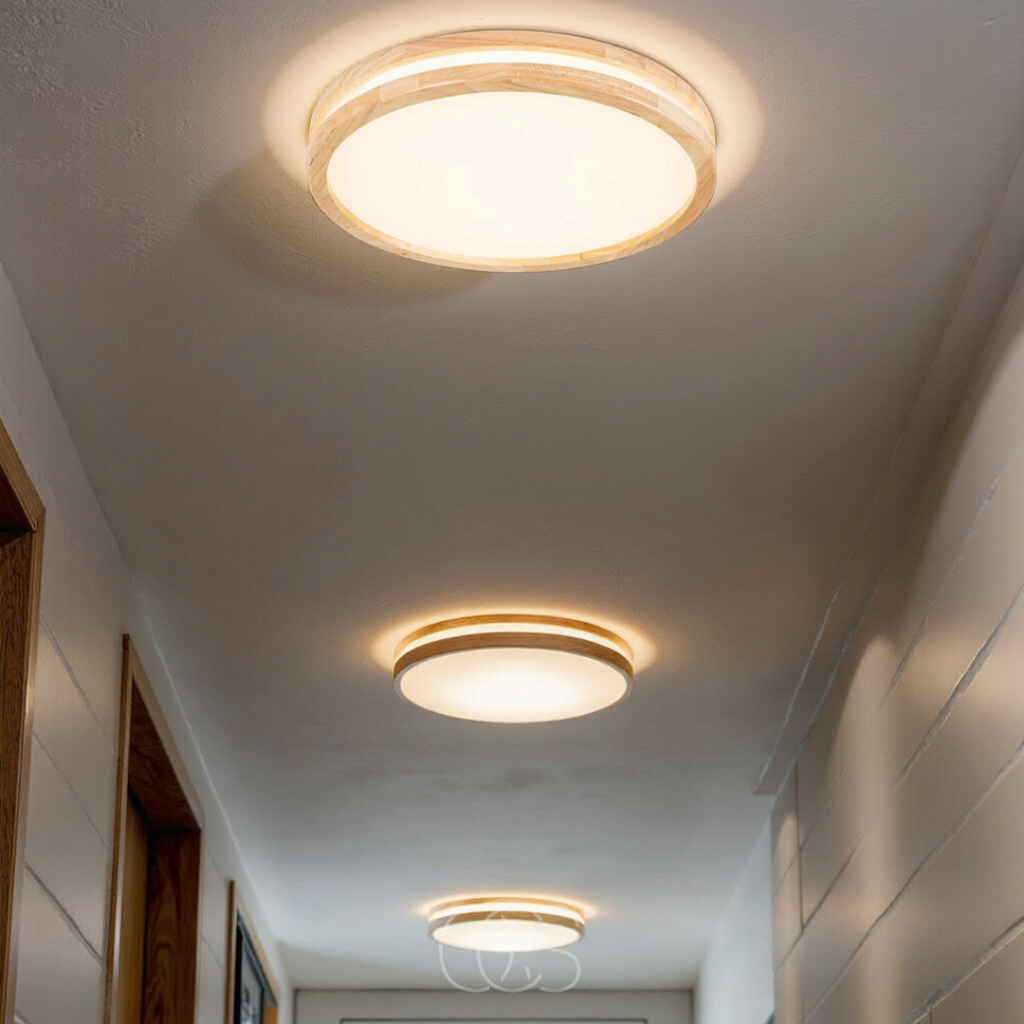 Simple Modern LED Ceiling Lamp For Living Rooms And More