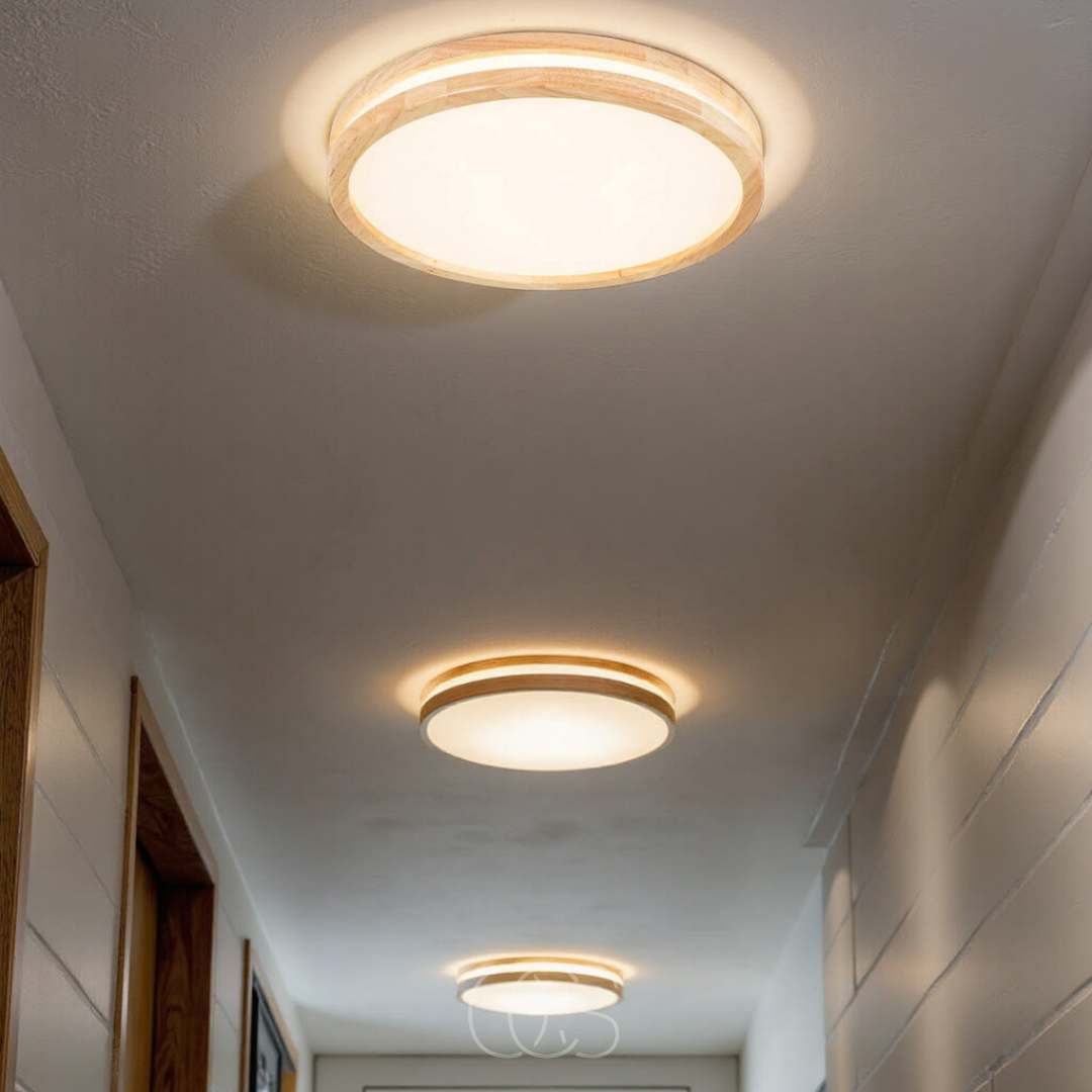 Simple Modern LED Ceiling Lamp For Living Rooms And More