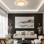 Simple Modern LED Ceiling Lamp For Living Rooms And More