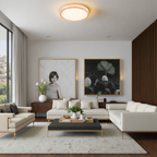 Simple Modern LED Ceiling Lamp For Living Rooms And More