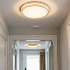 Simple Modern LED Ceiling Lamp For Living Rooms And More