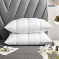 Oreiller en duvet d’oie hypoallergénique AeroLux — Confort adaptable, soutien moelleux