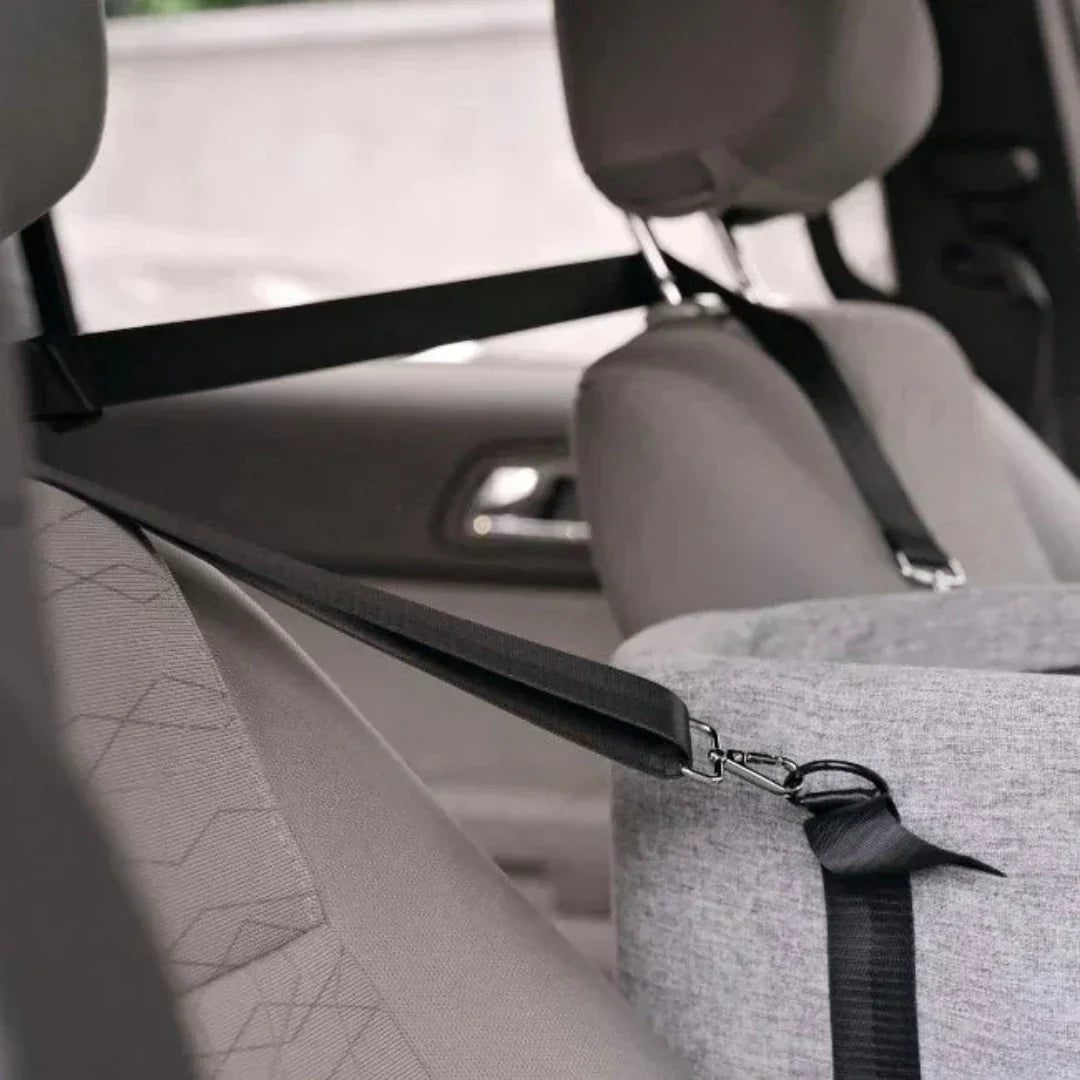 Vyvýšené autosedačka pro psy pro malé psy do 11 kg, pohodlné cestovní sedadlo - Euroselle