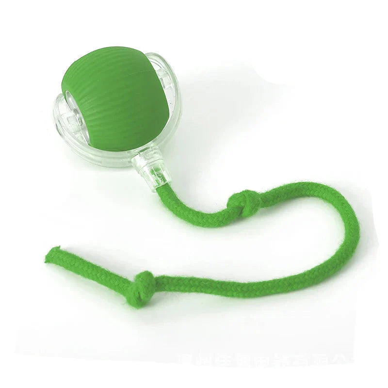 Smart Interactive Pet Toy for Dogs & Cats - Euroselle