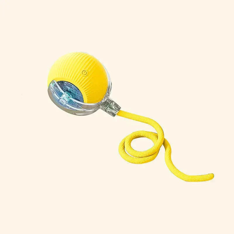 Smart Interactive Pet Toy for Dogs & Cats - Euroselle