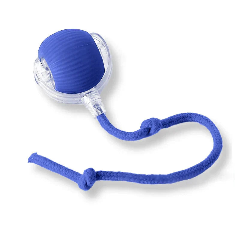 Smart Interactive Pet Toy for Dogs & Cats - Euroselle