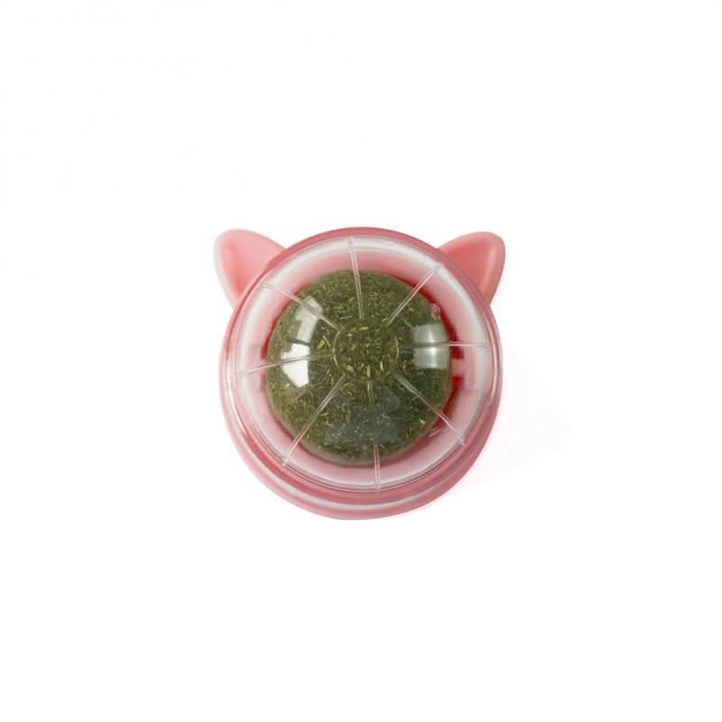 Brinquedo de Erva-gateira WhiskerNova — Saúde dentária e diversão para gatos