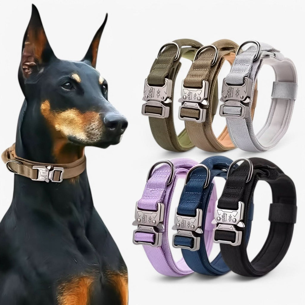 StealthPaw Verstellbares Hundehalsband-Set – Robuste Konstruktion, ganztägiger Tragekomfort