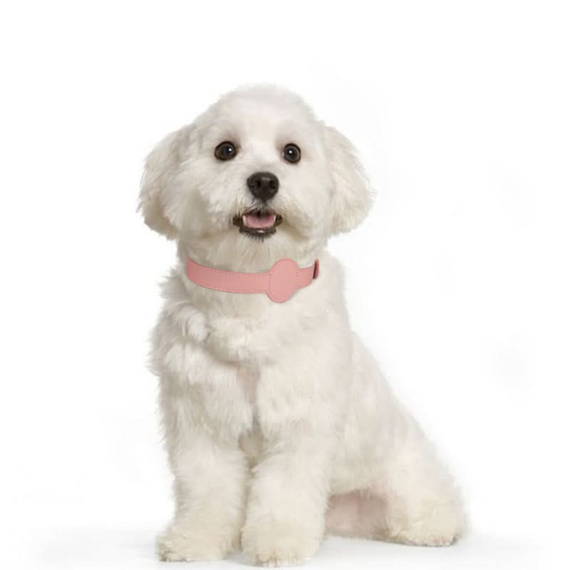 PawShield TrackTag Hundehalsband – Integrierte Halterung für Apple AirTag