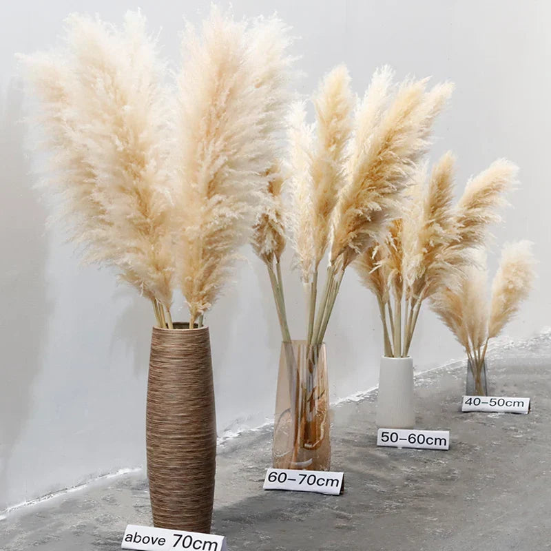 Confezione da 10 steli di erba della Pampa artificiale — canne soffici beige naturale